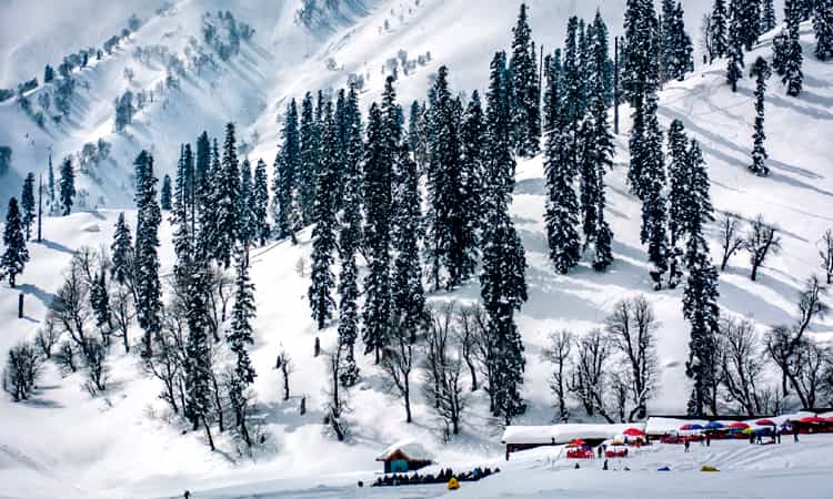 15 Best Places to Visit in Winter in India 15 Best Places to Visit in Winter in India