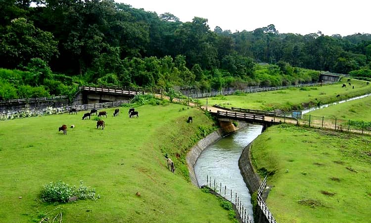Have you ever seen the Scotland of India? No less than a paradise for nature lovers, enjoy with family