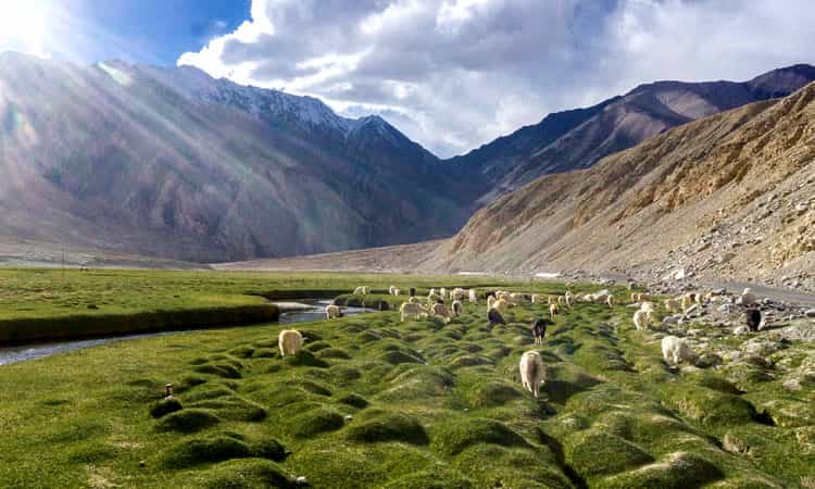 Nubra Valley - Places to Visit in Ladakh