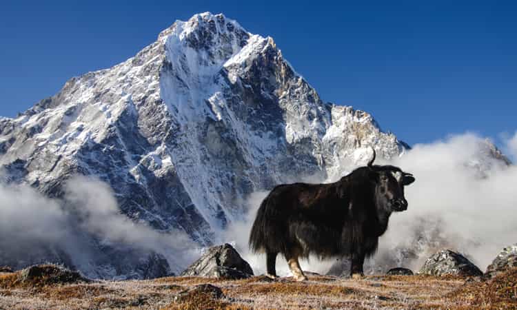 Sagarmatha National Park