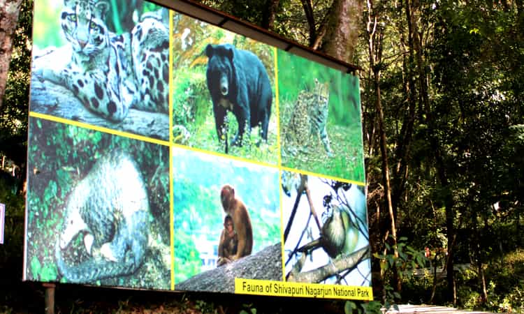 Shivapuri Nagarjun National Park