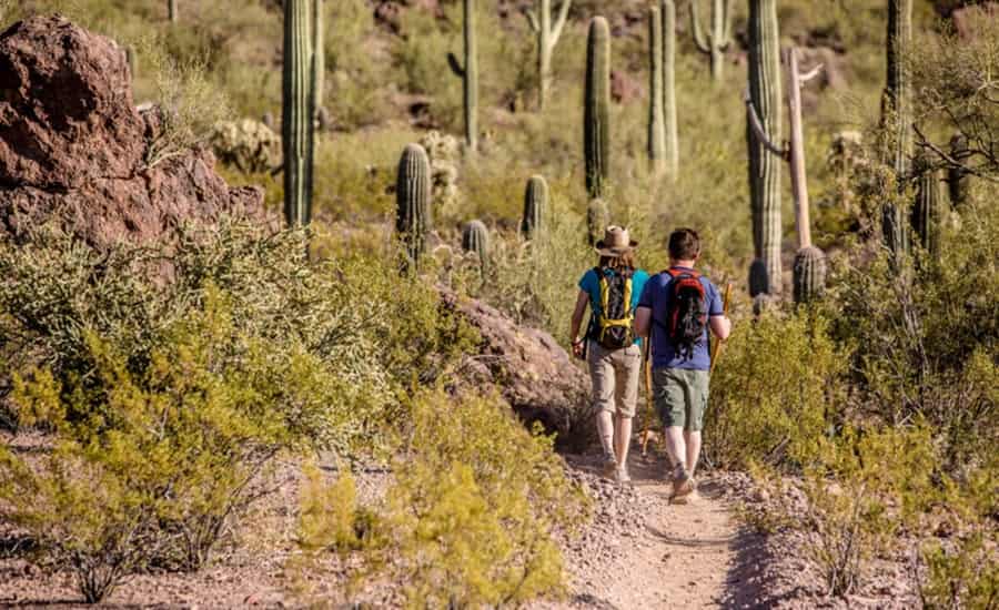 Make Your Campervanning Eco-friendly and Enthralling with These Fabulous Tips!