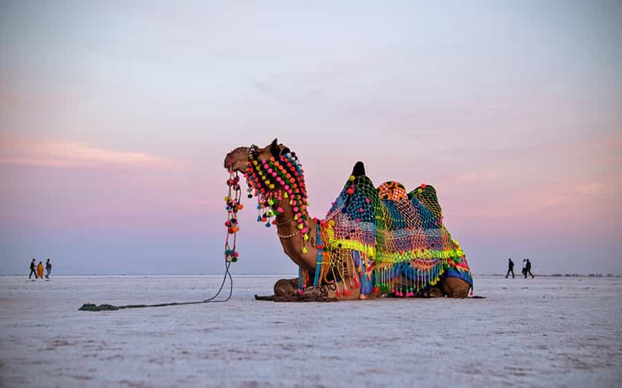 Great Rann Of Kutch
