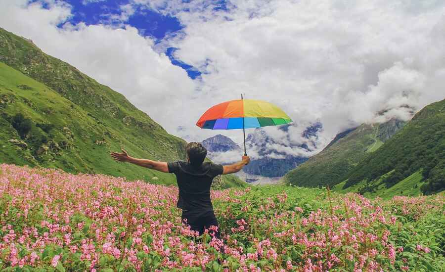 Valley of Flowers Trek