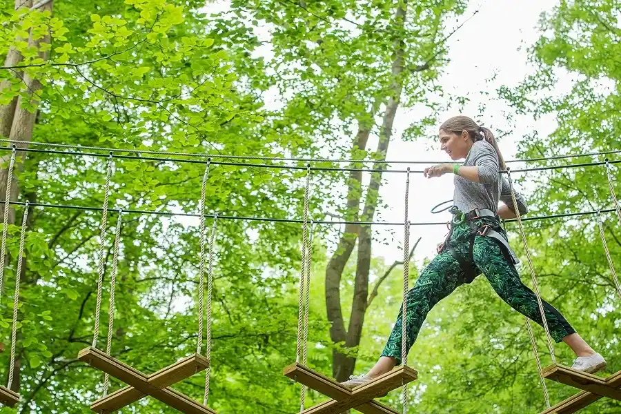 Go For Jungle Adventure